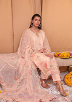 RAYA 3