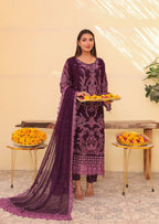 RAYA 6